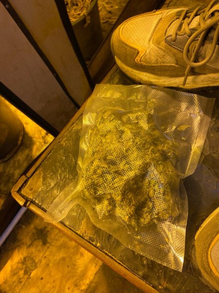В Киреевске сотрудниками УКОН установлен подозреваемый в незаконном культивировании наркосодержащих растений и хранении оружия