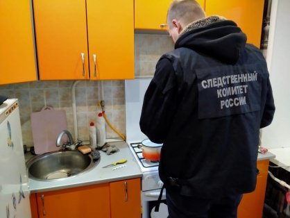 В Киреевске возбуждено уголовное дело в отношении местной жительницы, подозреваемой в убийстве